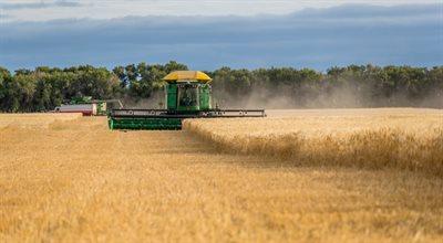 Rosną ceny pszenicy durum. Susza zniszczyła zbiory w Kanadzie 