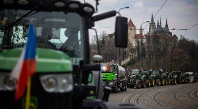 Nadmierna biurokracja i niskie ceny skupu. Protest rolników w Czechach