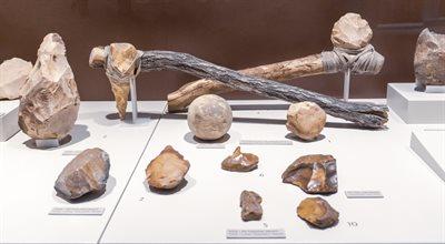 Na polu pod Biłgorajem znaleziono narzędzia sprzed kilku tysięcy lat