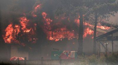 Chile walczy z pożarami lasów. Rośnie bilans ofiar. Wprowadzono stan wyjątkowy