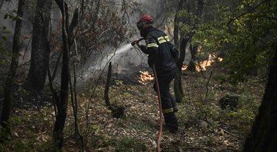 Władze Grecji ogłosiły początek sezonu pożarów. W tym roku wyjątkowo wcześnie
