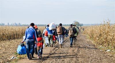Sześć razy więcej nielegalnych migrantów z Turcji. Bułgaria zwiększa swoje siły na granicy