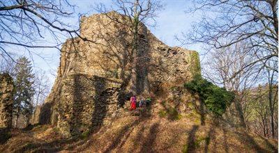 Zamek Cisy: średniowieczne ruiny w cieniu popularnego Książa