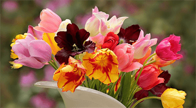 Kwiaty cięte i doniczkowe – jak o nie zadbać po przyniesieniu do domu?