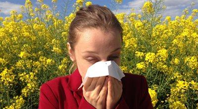 Alergia - palący problem w Polsce. Jak go rozwiązać?