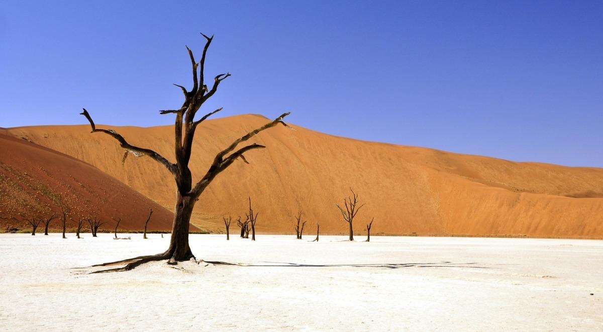 Namib. To nie jest zwykła pustynia