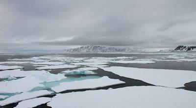 Światowe mocarstwa biją się o Arktykę. Pod lodem czeka ropa, gaz ziemny i minerały