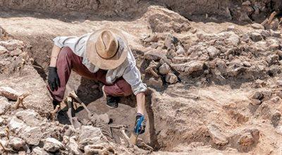 Oman. Polscy archeolodzy odnaleźli grę planszową sprzed 4 tys. lat