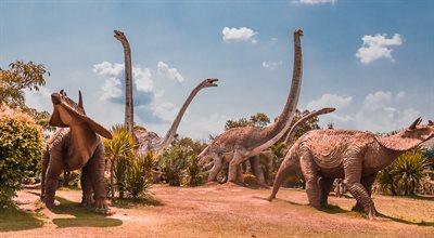 Gniazda dinozaurów odkryte w Indiach 