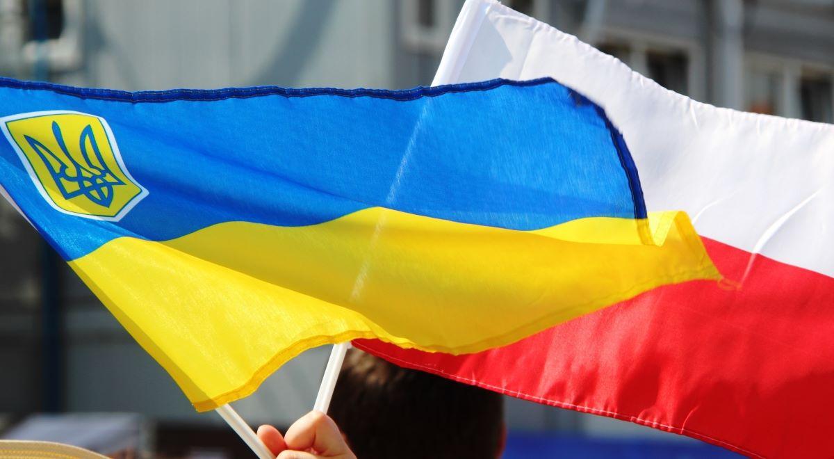 "Solidarni z Ukrainą". FINA zaprasza na cykl wydarzeń kulturalnych