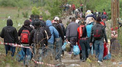 Firmy w Chorwacji zalewane ofertami na przemyt migrantów do Europy. To już plaga