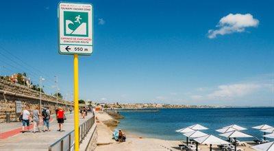 Portugalia: test systemu alarmowego przed tsunami. Naukowcy wieszczą katastrofę