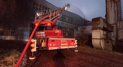 Trwa dogaszanie hali w Koninie. W akcji gaśniczej bierze udział ok. 50 zastępów strażackich