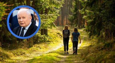 Prezes PiS: lasy to wielkie polskie bogactwo. Chronimy je, ale do tego potrzebne jest nasze zwycięstwo