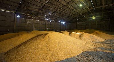 Import zbóż z Rosji i Białorusi. KE przygotowała propozycję nałożenia ceł zaporowych
