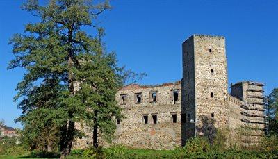 Zamek w Drzewicy – późnogotyckie ruiny o ciekawej historii